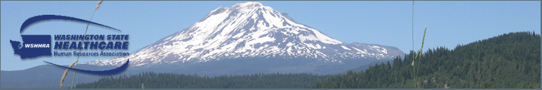 WSHHRA Logo on Mount Ranier picture